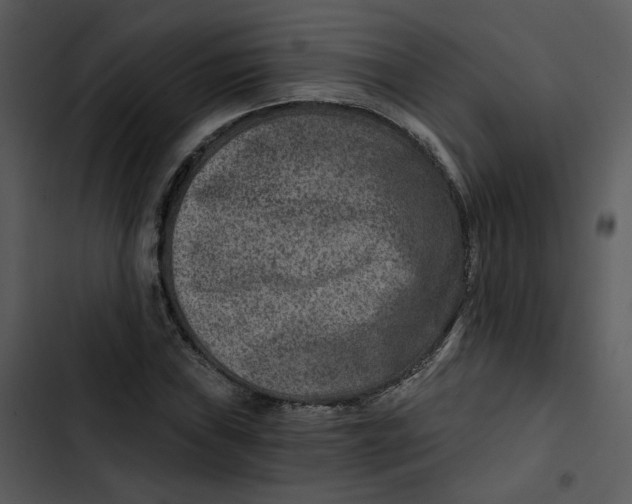 X0000102821019200809081126