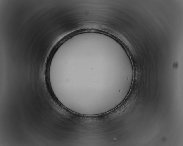 X0000102821020200809081126