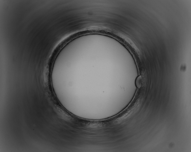 X0000102821021200809081126