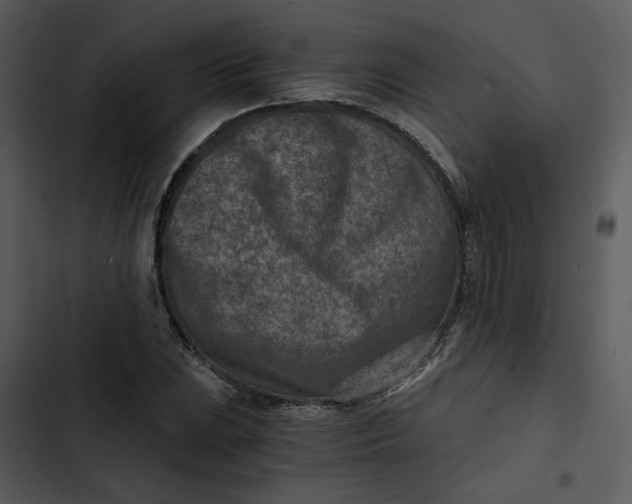 X0000102821023200809081126