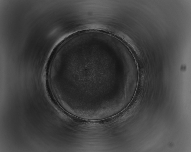 X0000102821024200809081126