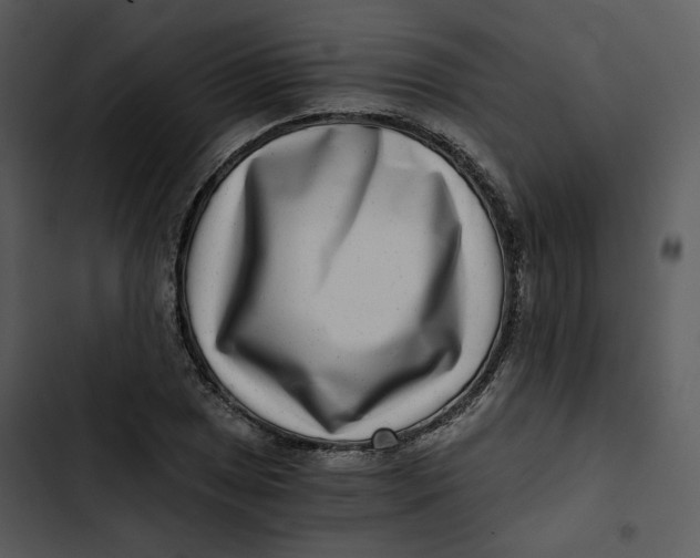 X0000102821025200809081126