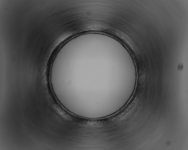 X0000102821026200809081126