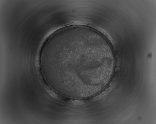 X0000102821027200809081126