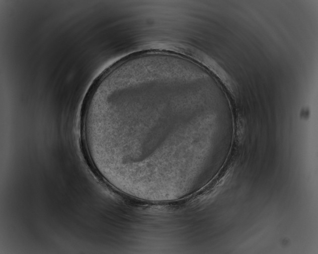 X0000102821028200809081126