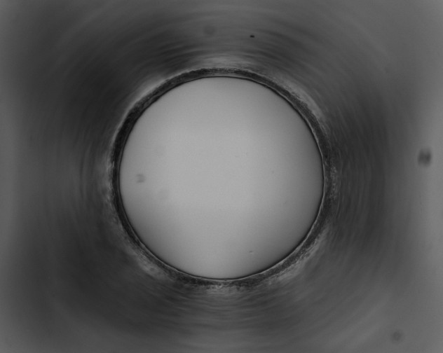 X0000102821029200809081126