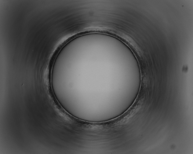 X0000102821030200809081126