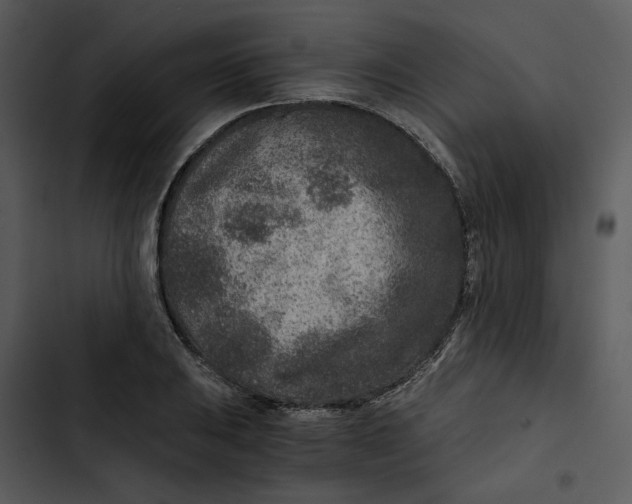 X0000102821031200809081126