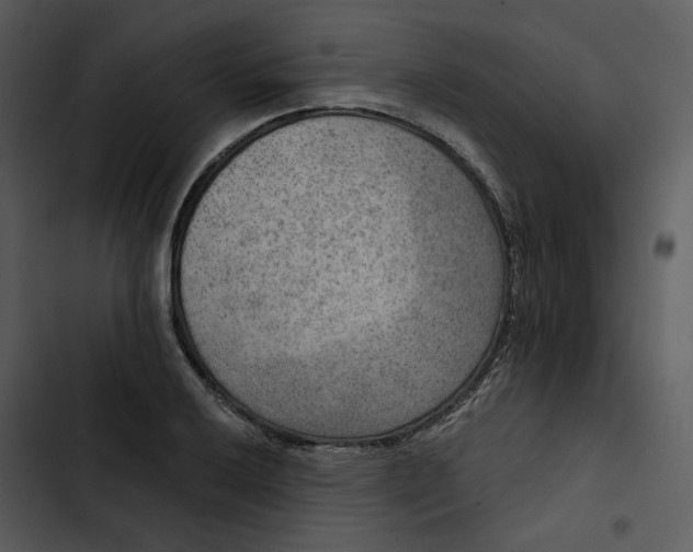 X0000102821032200809081126