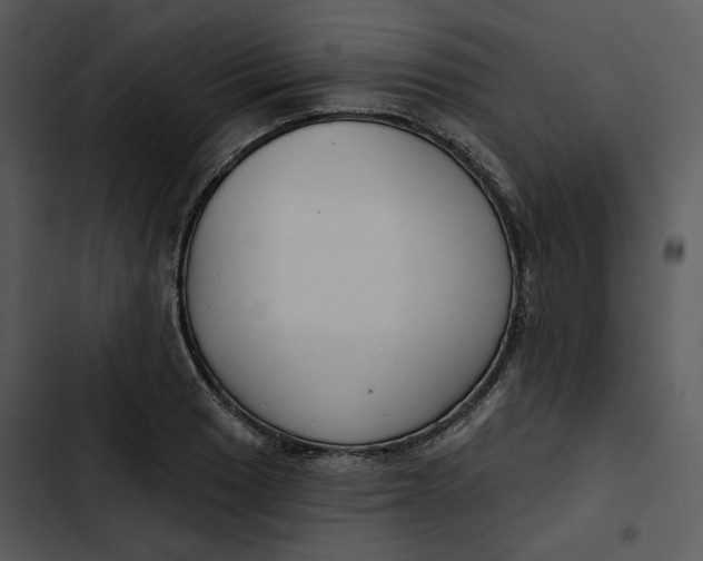 X0000102821033200809081126