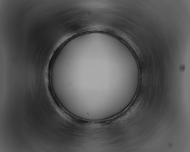 X0000102821034200809081126