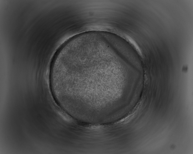 X0000102821035200809081126