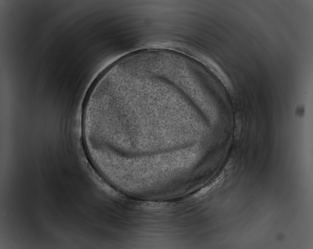 X0000102821036200809081126