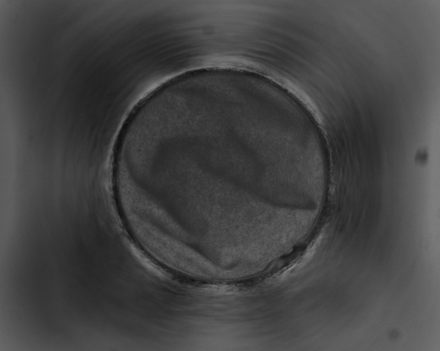 X0000102821037200809081126