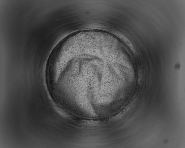 X0000102821039200809081126