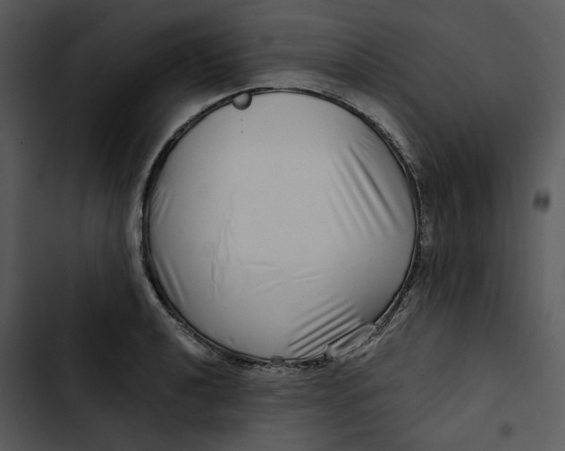 X0000102821040200809081126