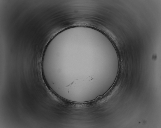 X0000102821041200809081126