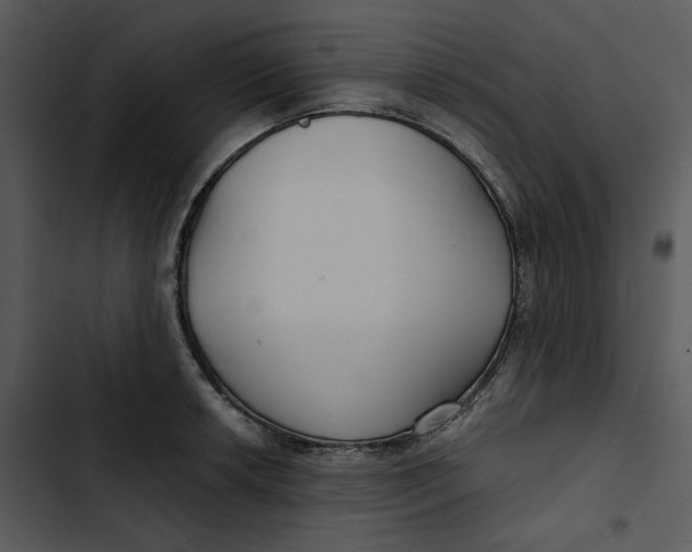 X0000102821042200809081126