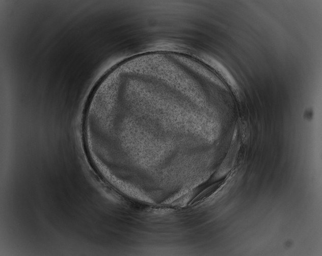 X0000102821043200809081126