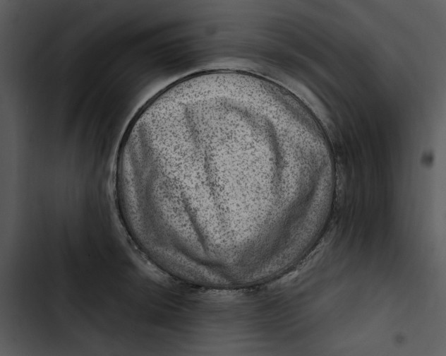 X0000102821044200809081126