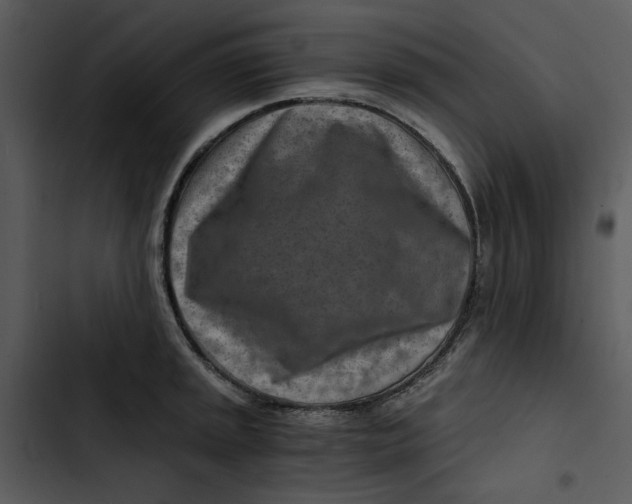 X0000102821045200809081126