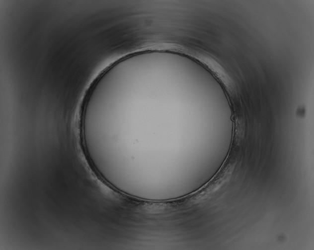 X0000102821046200809081126