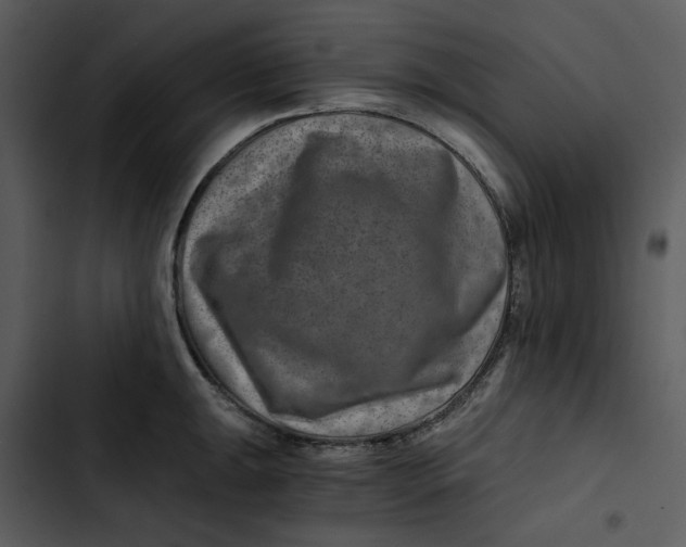 X0000102821047200809081126