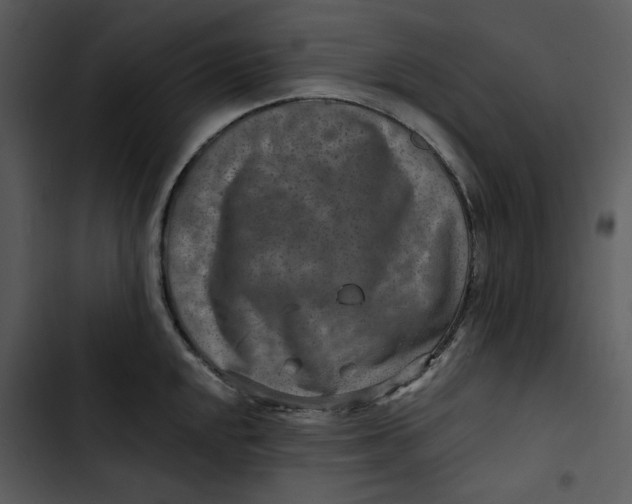 X0000102821048200809081126