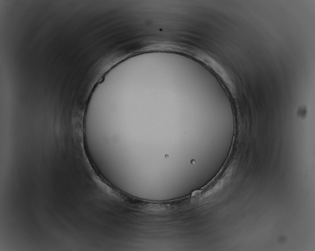 X0000102821049200809081126