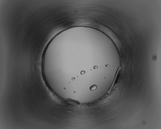 X0000102821050200809081126