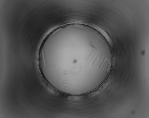 X0000102821051200809081126