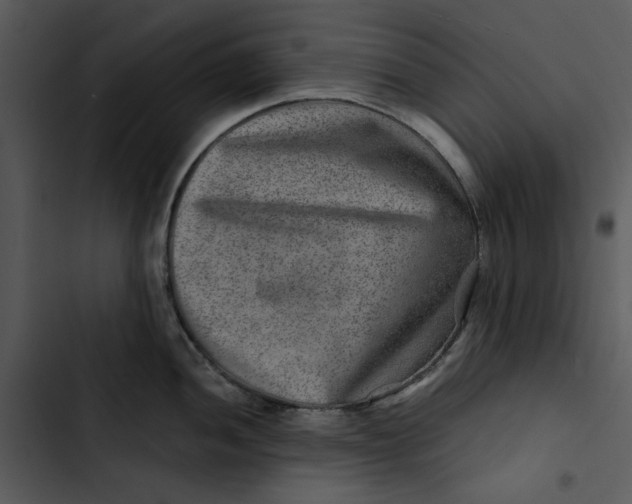 X0000102821052200809081126