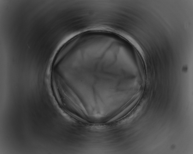 X0000102821053200809081126