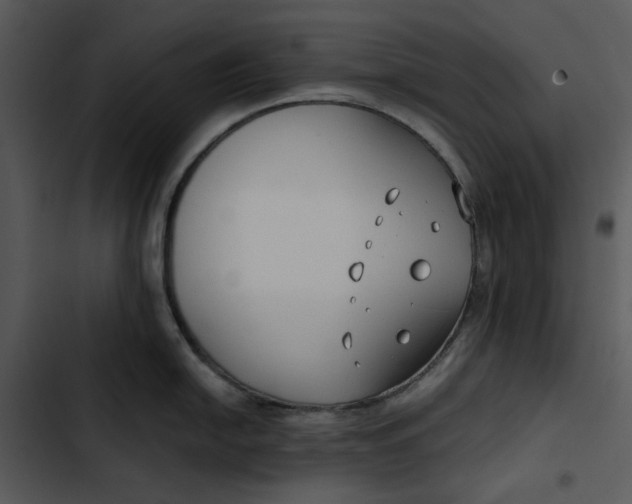 X0000102821054200809081126