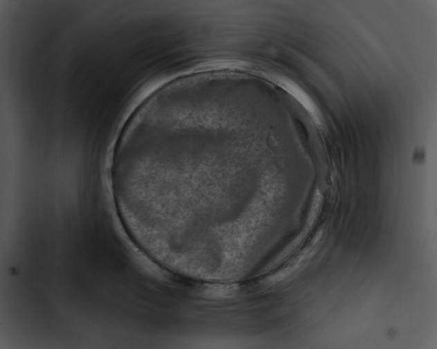 X0000102821055200809081126