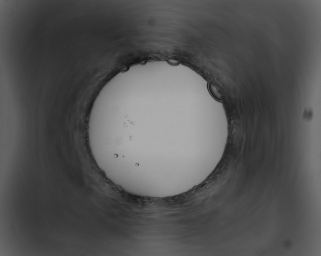 X0000102821057200809081126