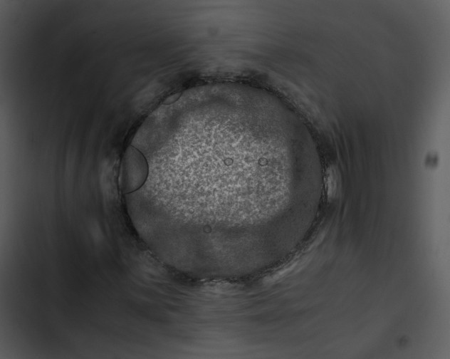 X0000102821059200809081126