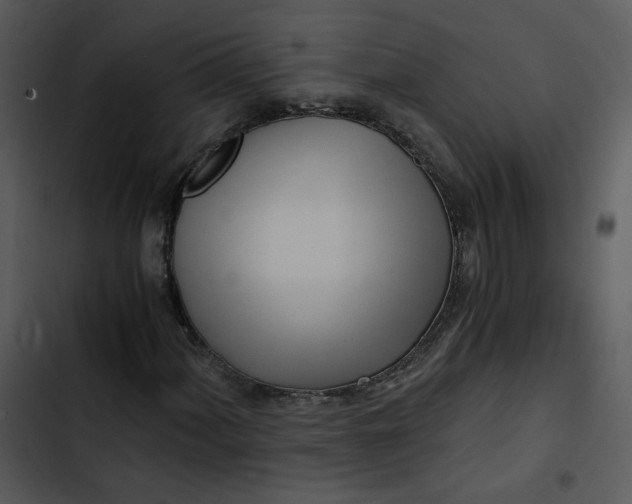 X0000102821060200809081126