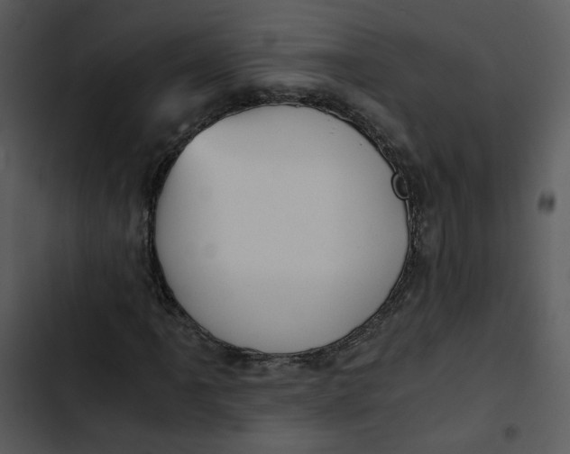 X0000102821061200809081126