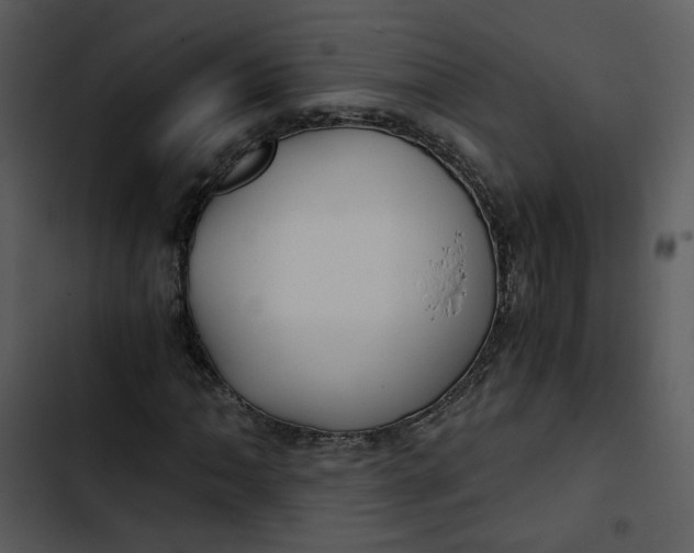 X0000102821062200809081126