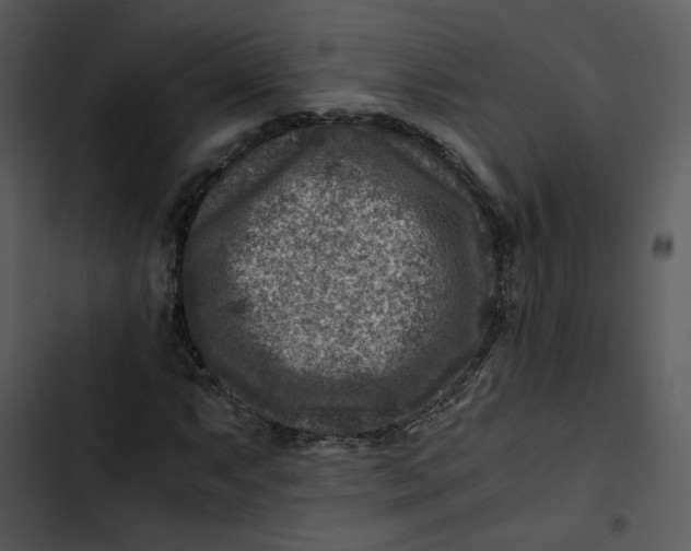 X0000102821063200809081126