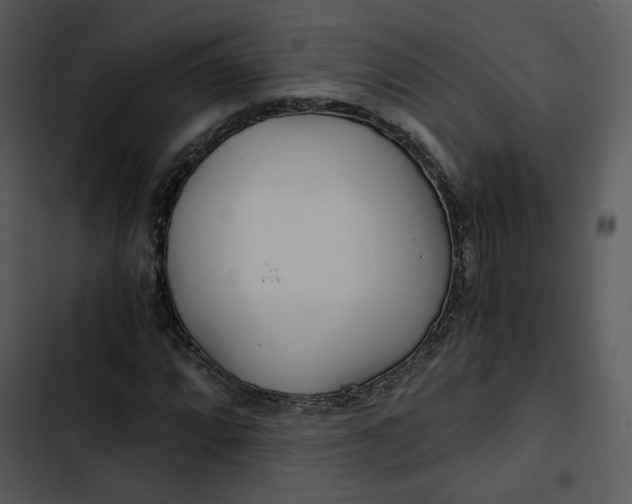 X0000102821064200809081126