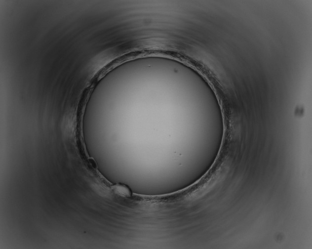 X0000102821065200809081126