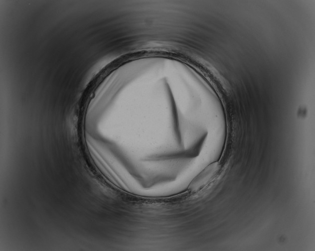 X0000102821066200809081126