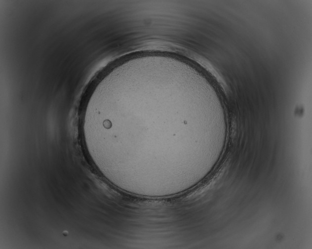 X0000102821067200809081126