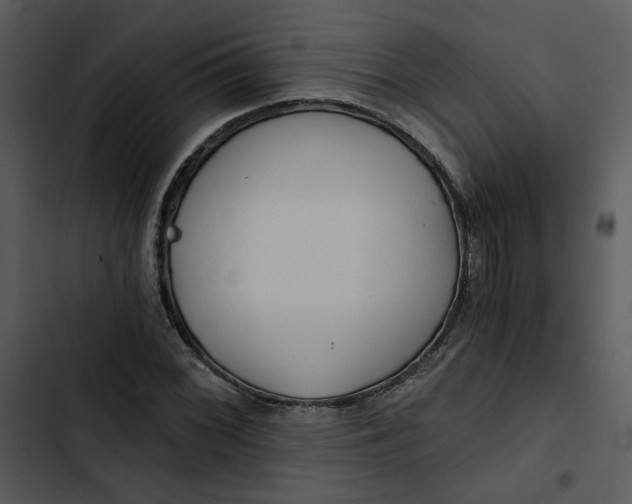 X0000102821068200809081126