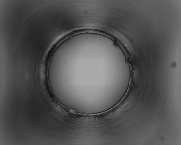 X0000102821069200809081126