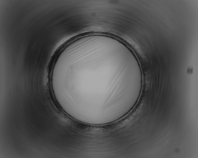 X0000102821070200809081126