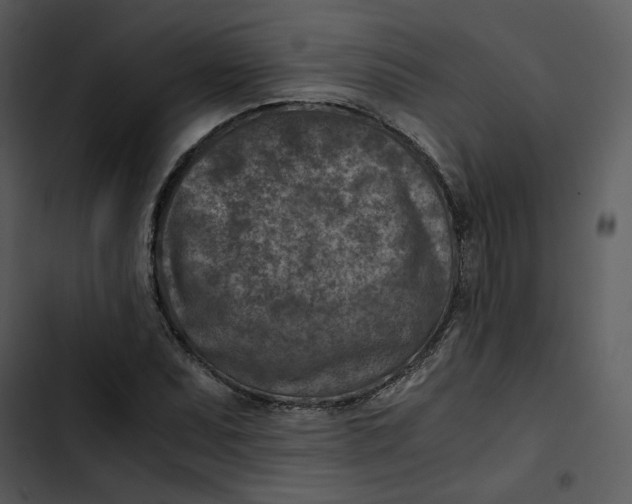 X0000102821071200809081126