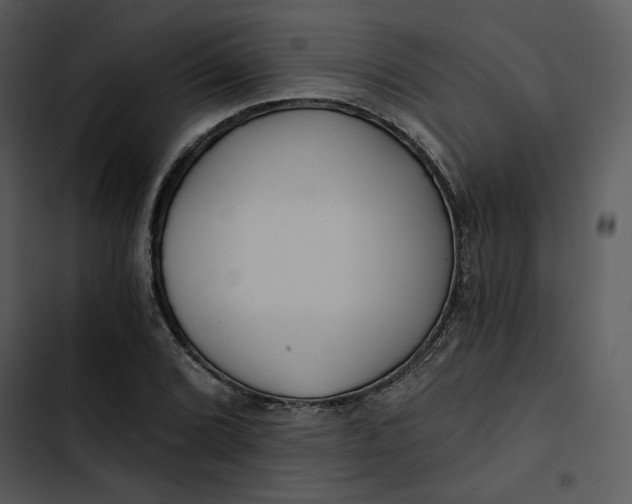 X0000102821072200809081126